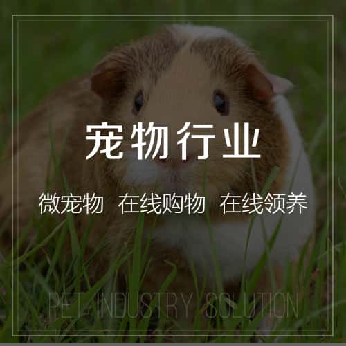 西双版纳傣族宠物