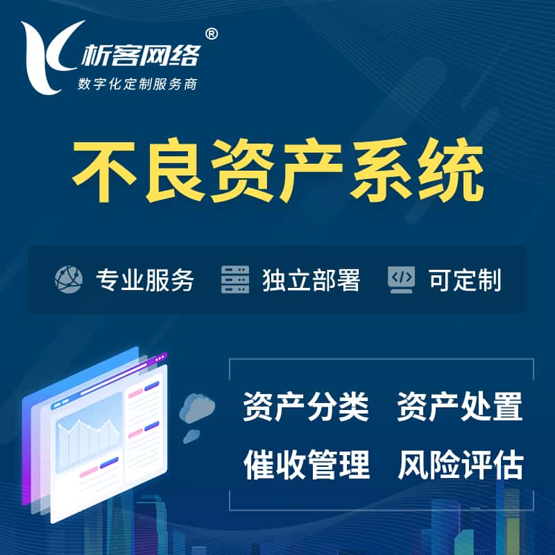 西双版纳傣族不良资产管理系统